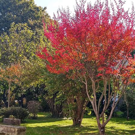 הוילה Fléac-sur-Seugne La Demeure D'Ezilda מראה חיצוני תמונה