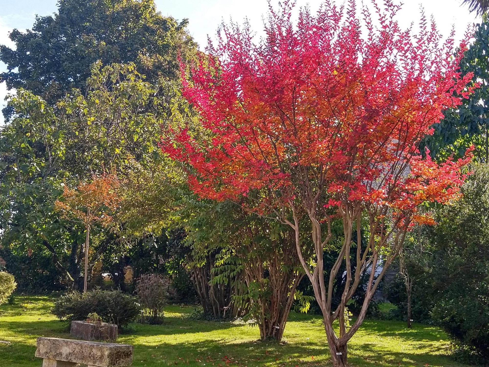 הוילה Fléac-sur-Seugne La Demeure D'Ezilda מראה חיצוני תמונה